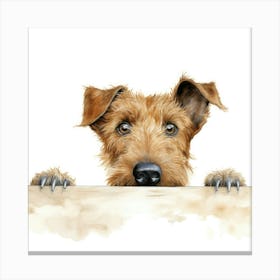 Irish Terrier 9 Canvas Print