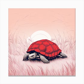 Red Turtle In The Grass Canvas Print