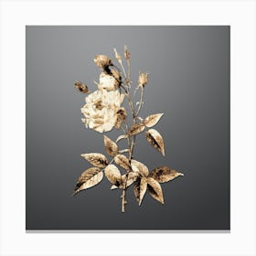 Gold Botanical Common Rose of India on Soft Gray n.4800 Canvas Print