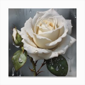 White Rose In Rain Canvas Print