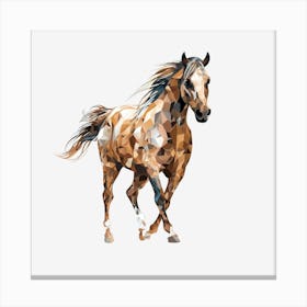 Arabian Horse Canvas Print