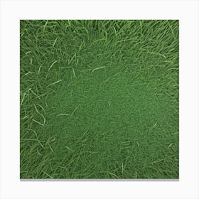 Grass Flat Surface For Background Use (31) Canvas Print