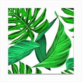 Leaves Tropical Monstera Summer nature Canvas Print