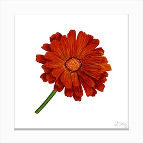 Orange Gerbera Canvas Print