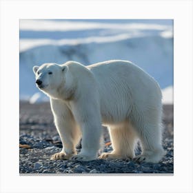 Polar Bear Canvas Print