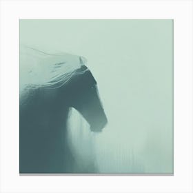 Foggy Horse Canvas Print