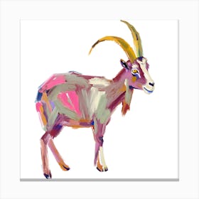 Goat 01 Canvas Print