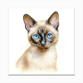 Tonkinese Mink Cat Portrait Canvas Print