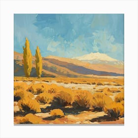 Chilean Desert Canvas Print