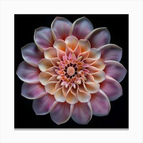 Dahlia Canvas Print