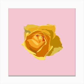Yellow Rose pink and yellow Canvas Print