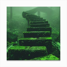 Stairway In The Forest Canvas Print