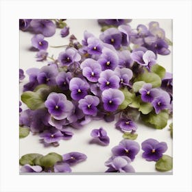 Violets 4 Canvas Print