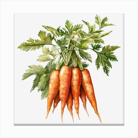 Carrots 6 Canvas Print