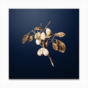 Gold Botanical Plum on Midnight Navy n.0153 Canvas Print