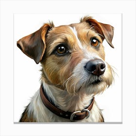 Jack Russell Terrier Portrait Canvas Print