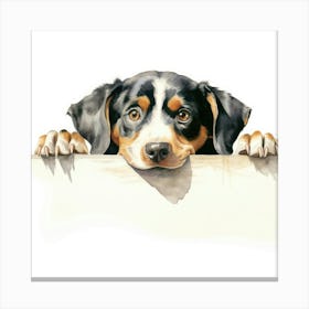 Bernese Mountain Dog 7 Canvas Print