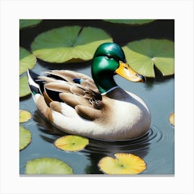 Mallard Duck 7 Canvas Print