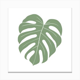 Monstera Leaf 1 Canvas Print