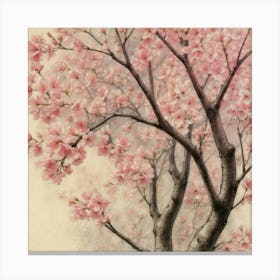 Cherry Blossoms 2 Canvas Print