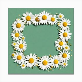 Daisy Frame 1 Canvas Print