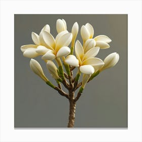 White Flowers On A Branch Canvas Print