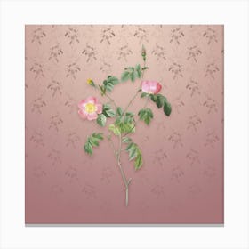 Vintage Pink Austrian Copper Rose Botanical on Dusty Pink Pattern n.0649 Canvas Print