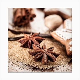 Annis & Cinnamon Square Canvas Print