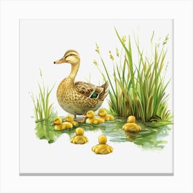 Springtime-Duck-Pond-Clipart.8 Canvas Print