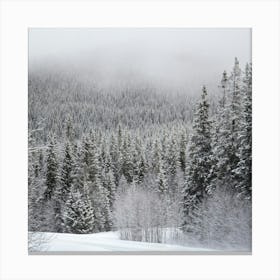 Snowy Mountain Road Canvas Print