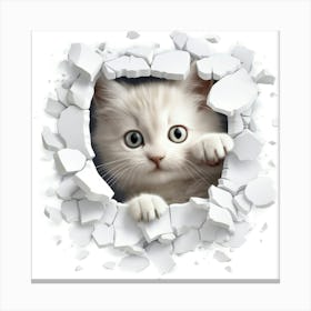 Cat Peeking Out Of A Hole 3 Canvas Print