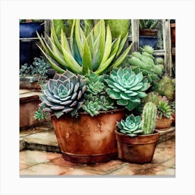 Cacti And Succulents 19 Canvas Print