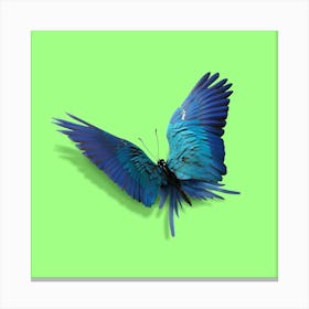 Parrot Butterfly Square Canvas Print