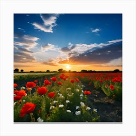 Sunset In A Field Of Poppies Canvas Print