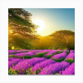 Lavender Field At Sunset Canvas Print