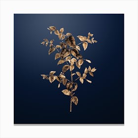 Gold Botanical Tree Fuchsia on Midnight Navy n.3062 Canvas Print