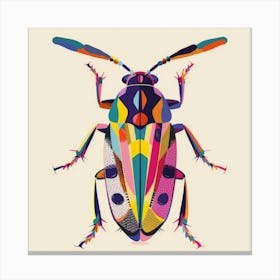 Beetle 17 Canvas Print