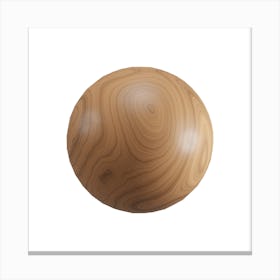 Wood Ball.4 Canvas Print