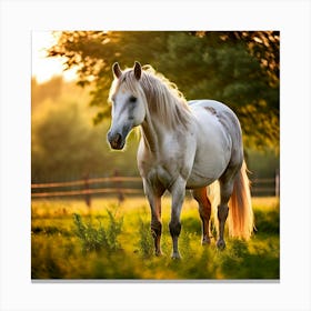 Grass Mane Head Graze Equestrian Pasture Elegant Sun Beauty Horse Standing Rural Green (2) Canvas Print