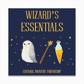 Wizard's Essentials - Harry Potter Inspired - owl, the Owl House, owl house Canvas Print