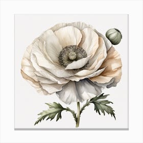 Large white poppy flower 5 Canvas Print