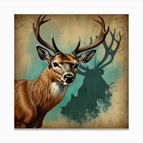 Deer With Antlers Canvas Print