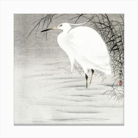 Little Egret (1900 1930), Ohara Koson Canvas Print