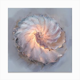 Nautilus Shell Canvas Print