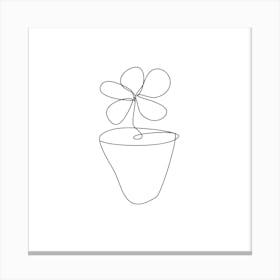 Shamrock 1 Canvas Print