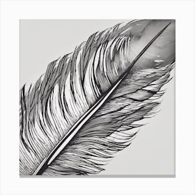 Feather Feather Feather Canvas Print