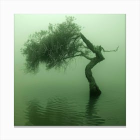 Lone Tree In The Fog Canvas Print