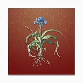 Vintage Iris Scorpiodes Botanical on Falu Red Pattern n.2281 Canvas Print