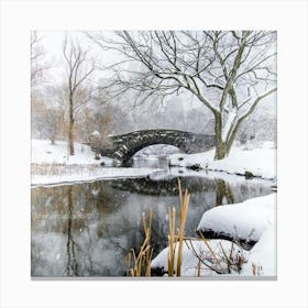 Winter In Central Park Wall Art Print Canvas Print