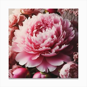 Large pink Peony flower 3 Canvas Print